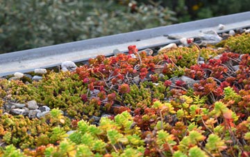 the cost of West Skelston green roof installation