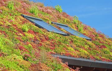 West Skelston living roof systems